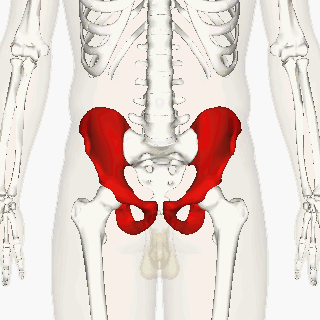 What Causes Hip Pain?