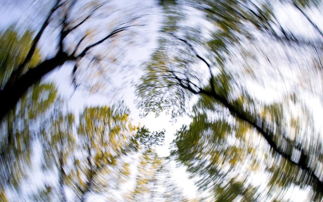 Does Physical Therapy Help Patients with Vertigo?